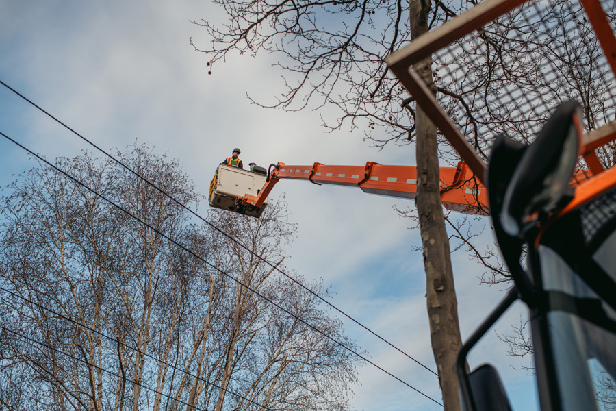 nina_skripietz_fotografie_Baumarbeit_mit_der_KVG-110