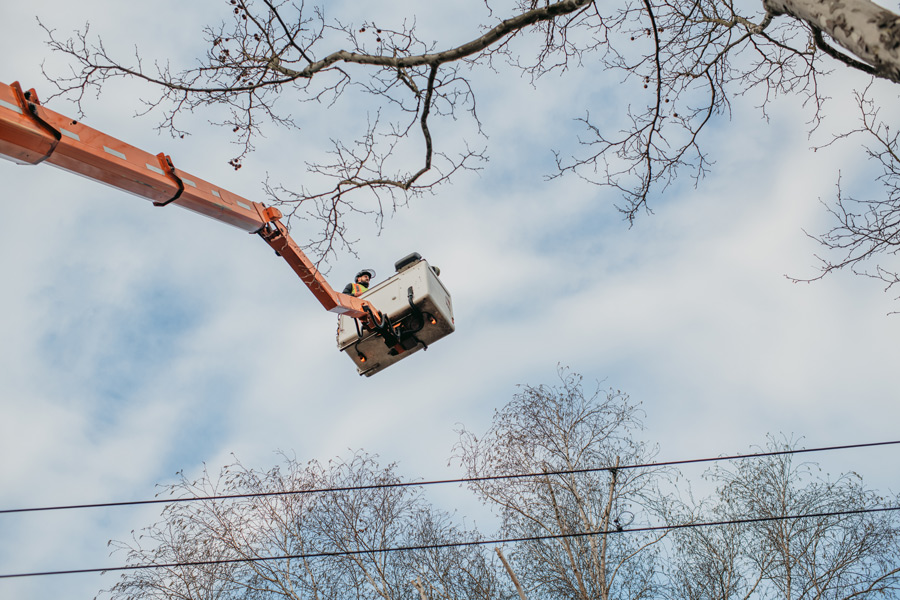nina_skripietz_fotografie_Baumarbeit_mit_der_KVG-118