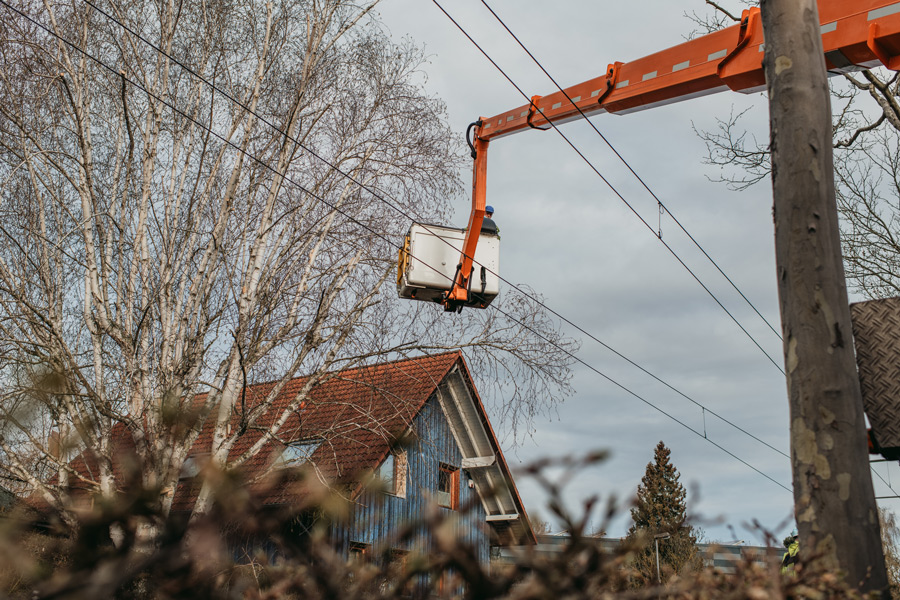 nina_skripietz_fotografie_Baumarbeit_mit_der_KVG-13