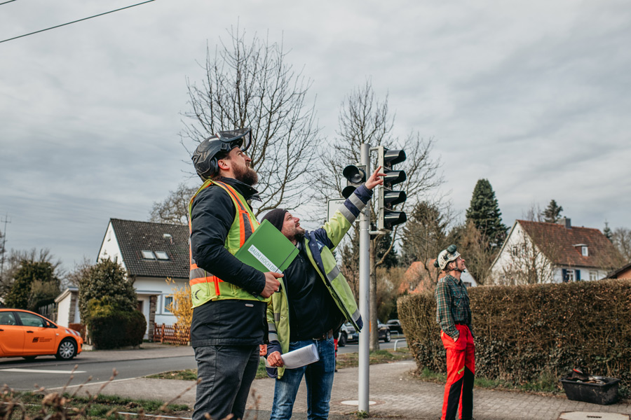 nina_skripietz_fotografie_Baumarbeit_mit_der_KVG-22