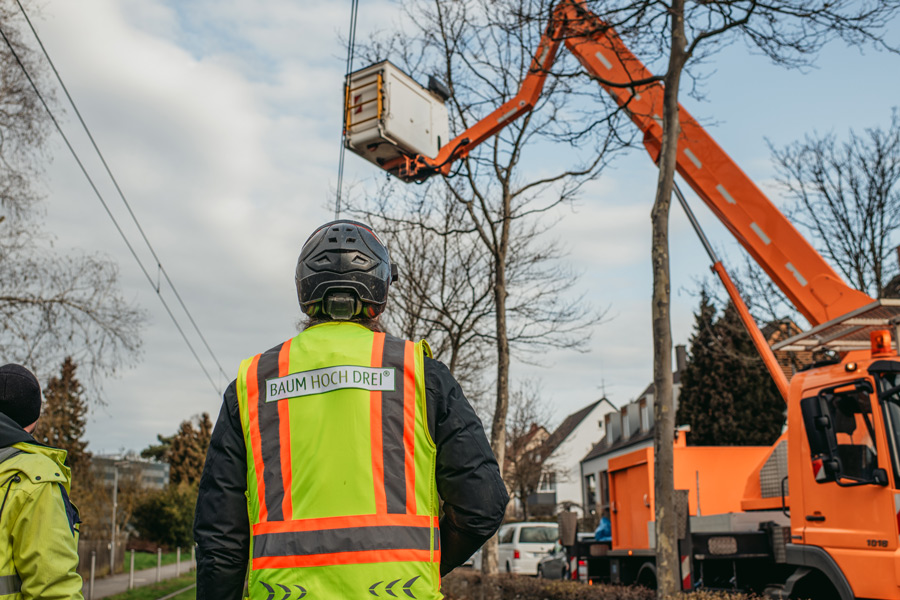 nina_skripietz_fotografie_Baumarbeit_mit_der_KVG-25