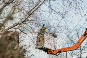 nina_skripietz_fotografie_Baumarbeit_mit_der_KVG-35