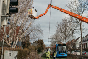 nina_skripietz_fotografie_Baumarbeit_mit_der_KVG-4