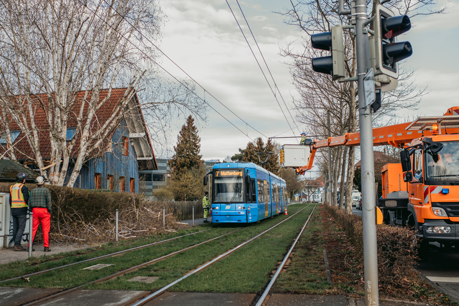 nina_skripietz_fotografie_Baumarbeit_mit_der_KVG-56