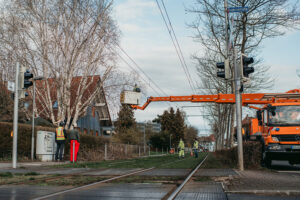 nina_skripietz_fotografie_Baumarbeit_mit_der_KVG-61