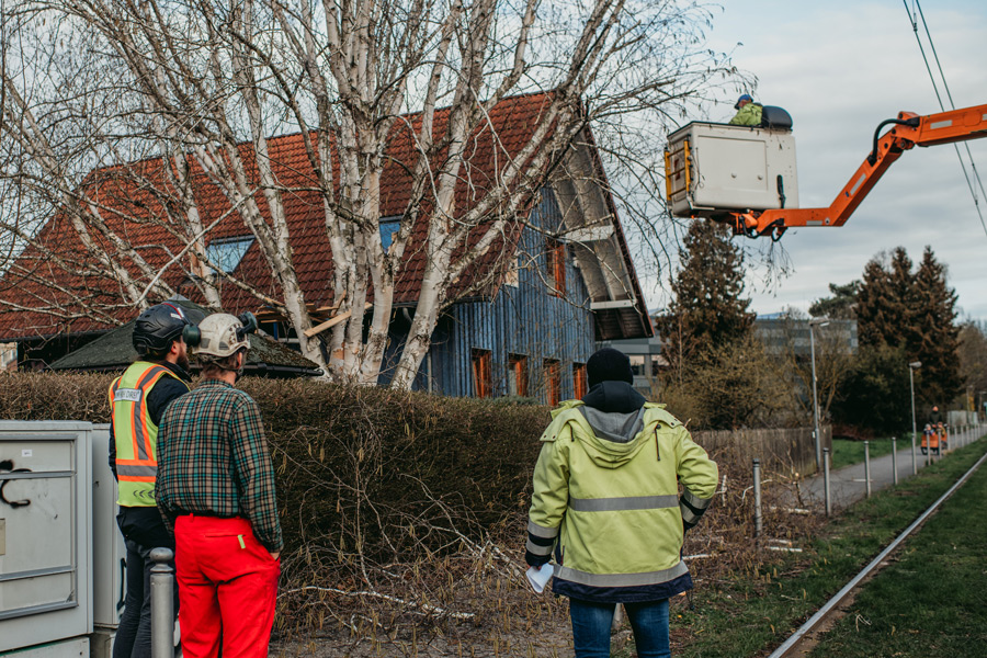 nina_skripietz_fotografie_Baumarbeit_mit_der_KVG-80